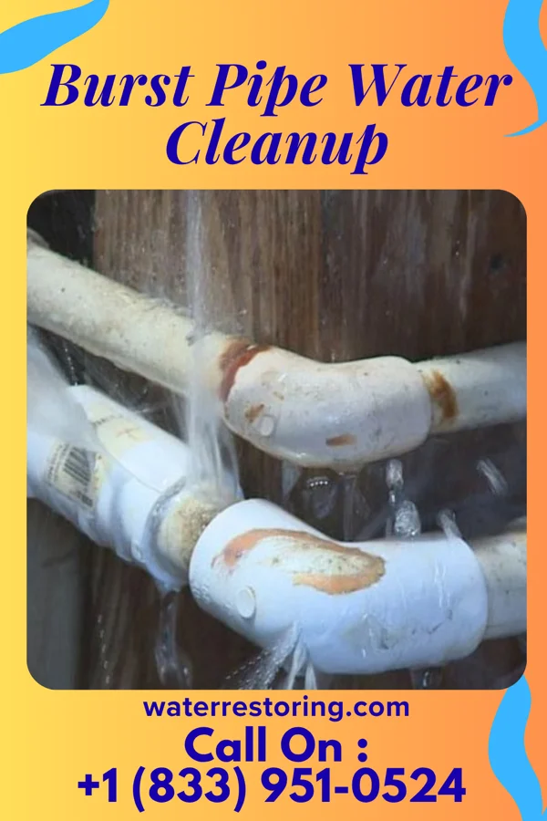 Burst Pipe Water Cleanup in Pleasant Hills, PA