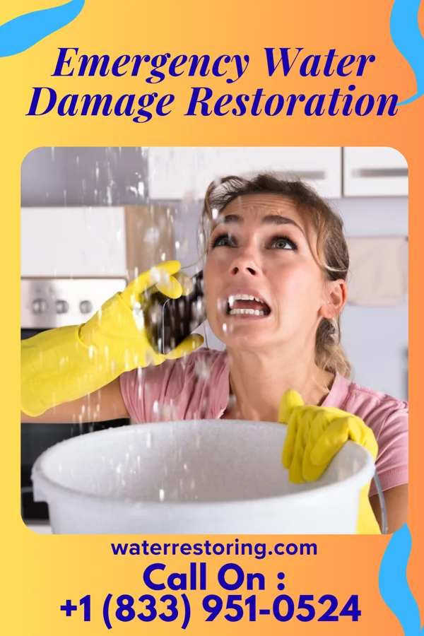 Emergency Water Damage Restoration in Pleasant Hills, PA