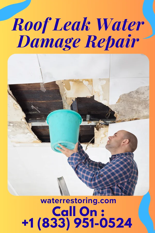 Roof Leak Water Damage Repair in Pleasant Hills, PA